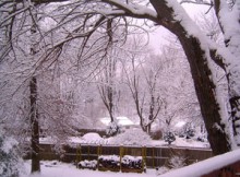 hiver1
