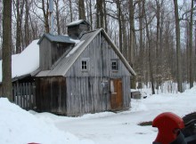 cabane