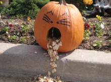 L'Halloween est un temps de réjouissance pour tous.