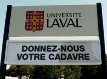 université Laval